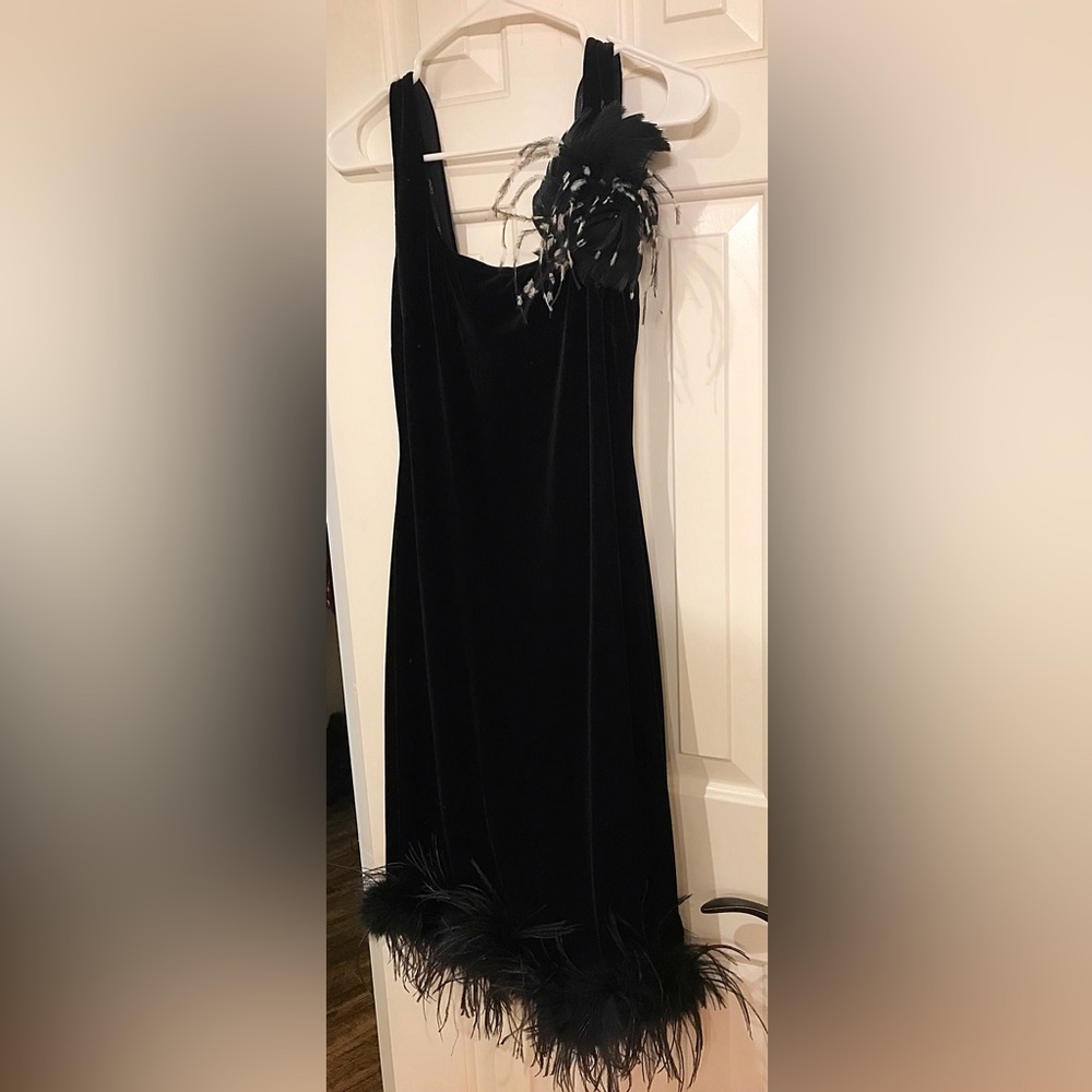 Black Velvet Dress with lots of Feathers on top and bottom of dress! Beautiful!